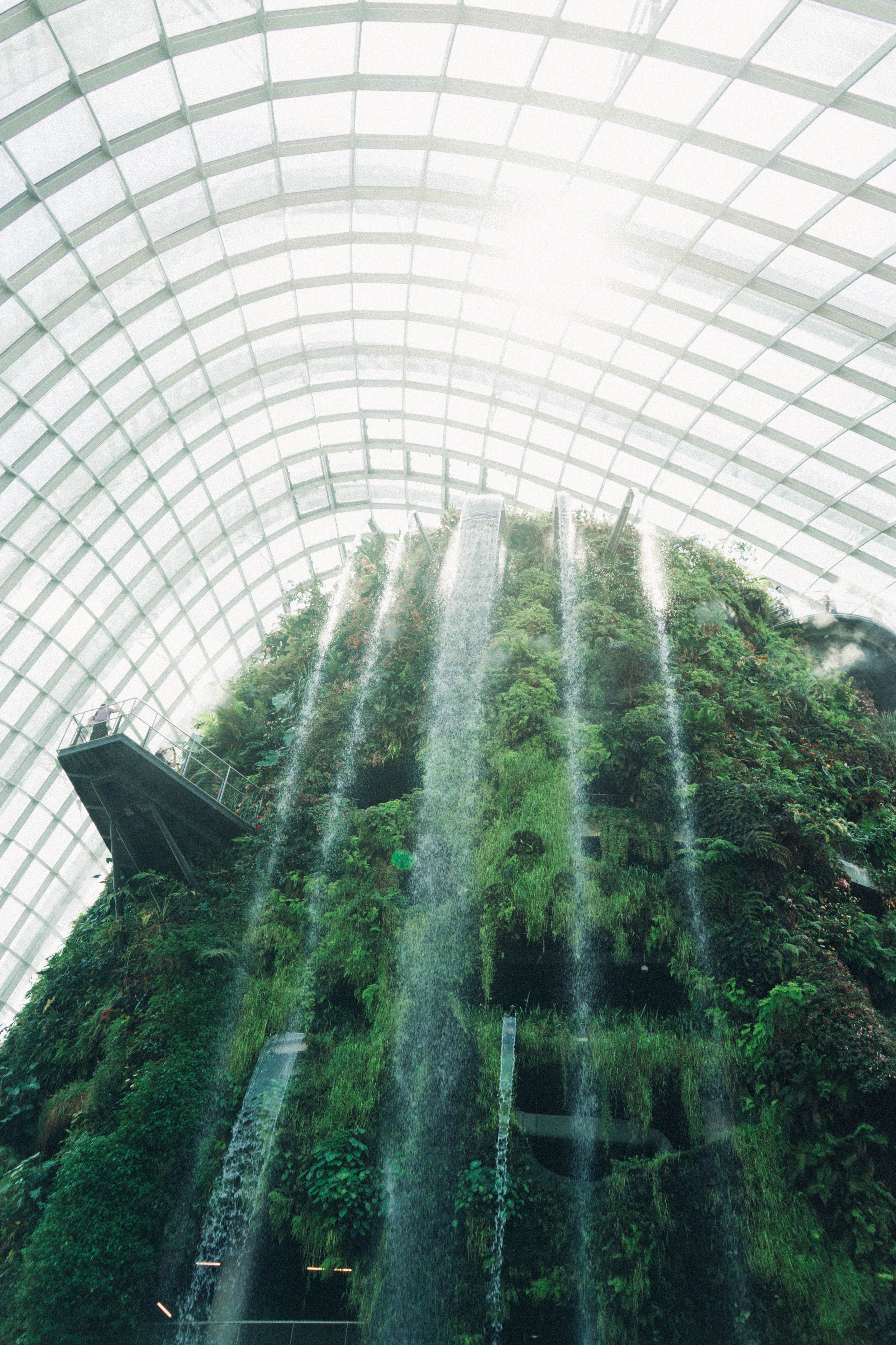 Plants and waterfall inside a glass building